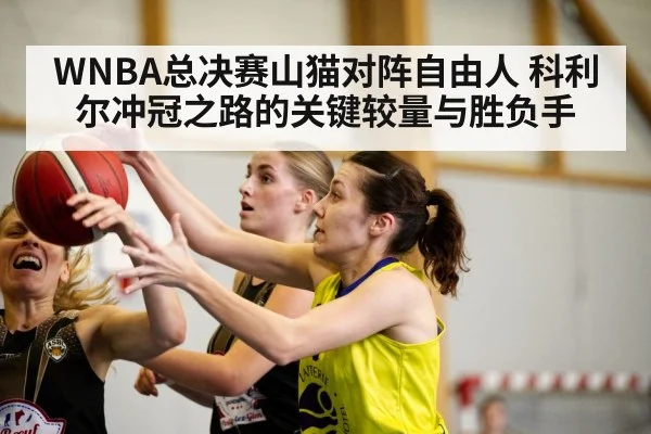 WNBA总决赛山猫对阵自由人 科利尔冲冠之路的关键较量与胜负手