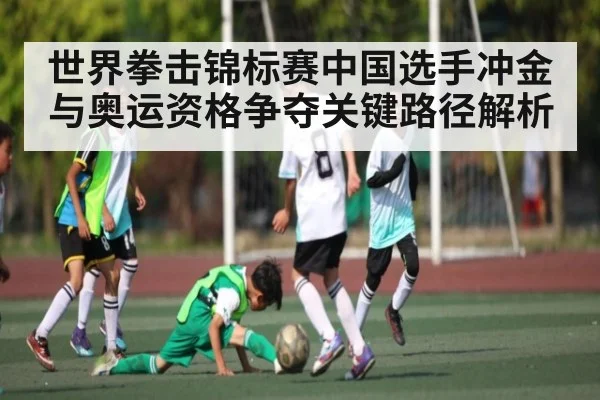 世界拳击锦标赛中国选手冲金与奥运资格争夺关键路径解析